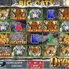 Big Cats Slot
