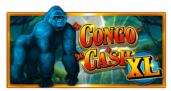 Congo Cash XL